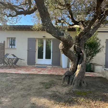 Made Сен-Тропе