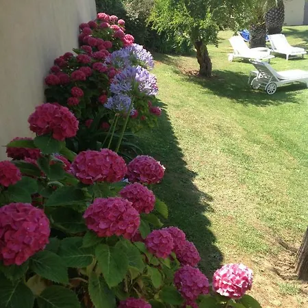 Made Отель типа 