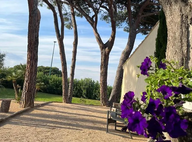 Bed & Breakfast Made 4*