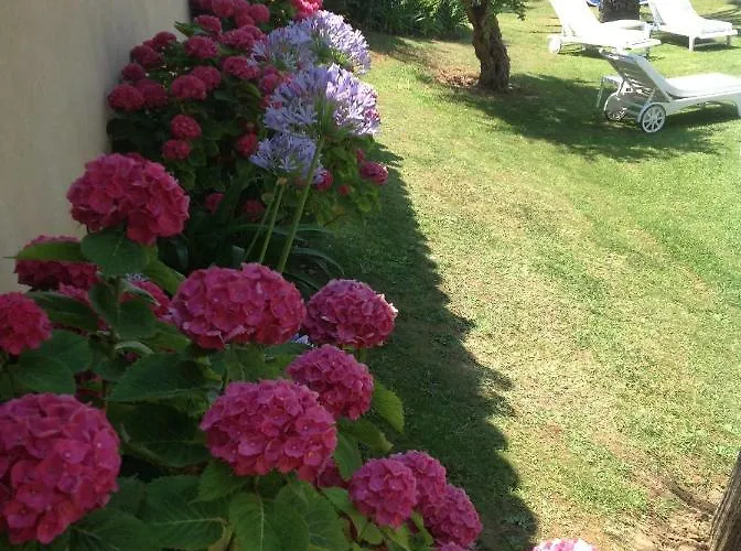 Made Bed and breakfast